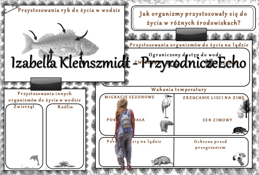 Karta pracy „Jakie organizmy przystosowały się do życia w różnych środowiskach?” wykonana w power point do edycji. Przyroda 4, „Środowisko życia organizmów” na podstawie wydawnictwa WSiP