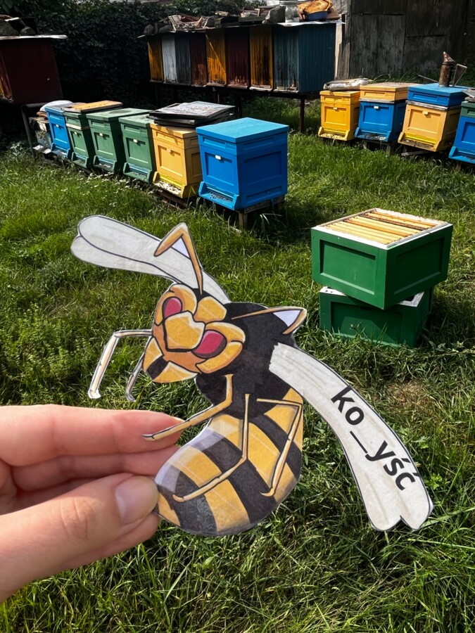 Gra w łapanie os - ortografia "rz" i "ż"