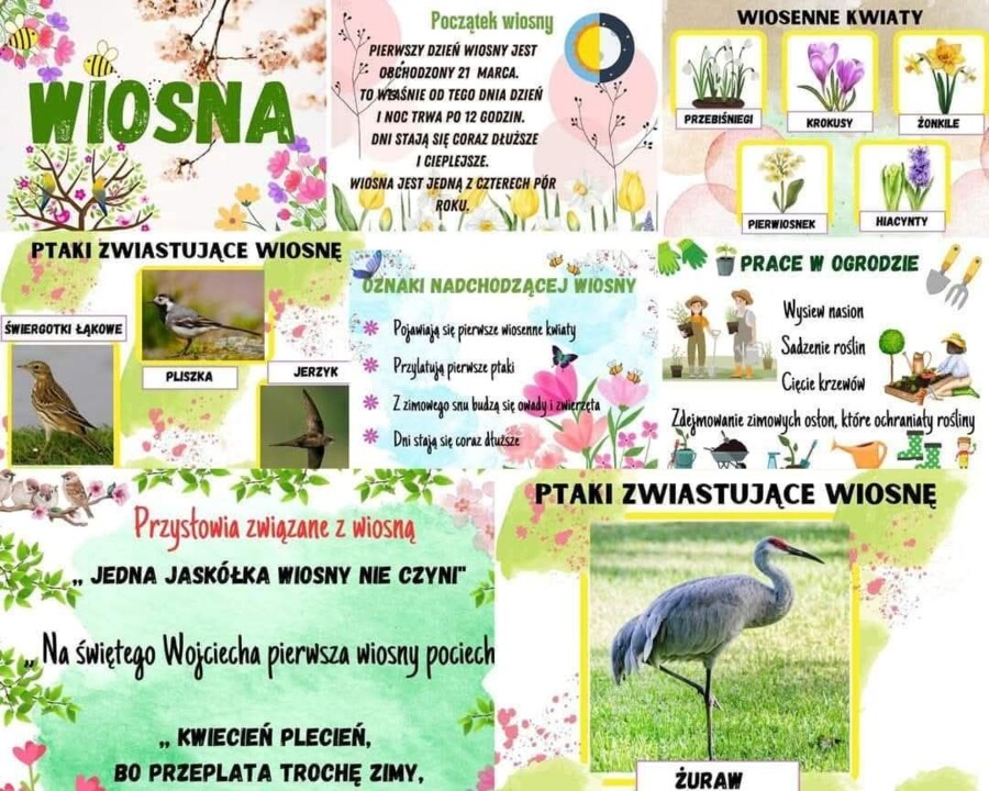 Plansze- WIOSNA