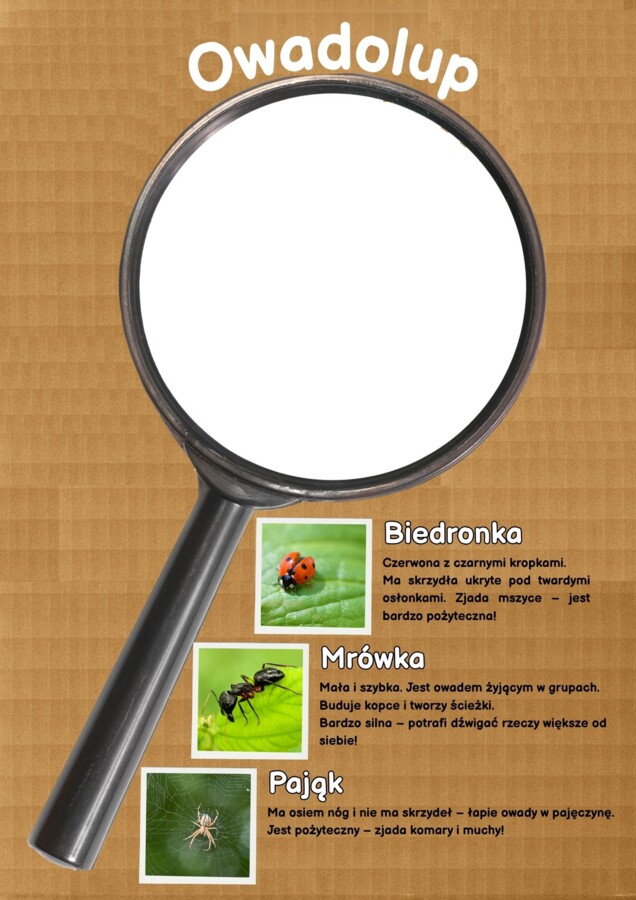 Projekt/ Innowacja własna "EDUKACJA w ruchu i relacji"- przedszkole i kl. 1-3