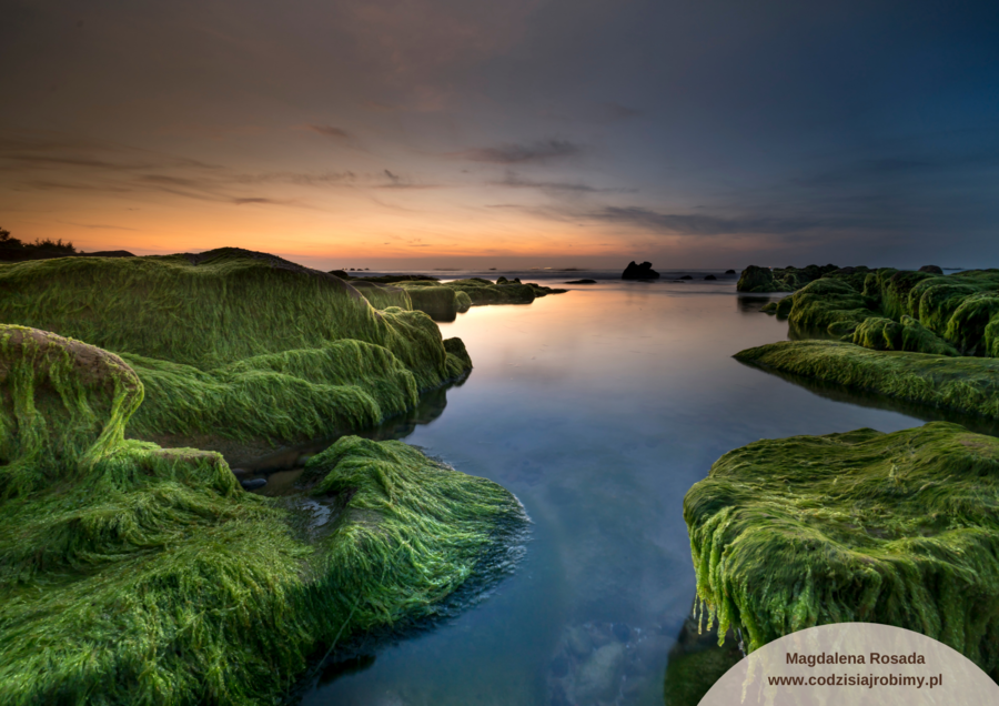 Kreatywne pisanie: Opis miejsca