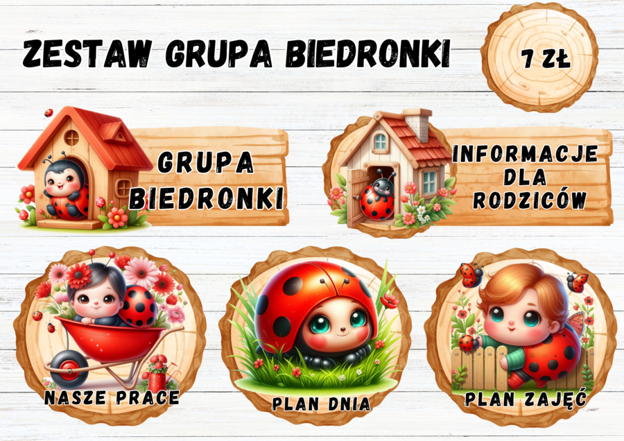 ZESTAW GRUPOWY GRUPA "BIEDRONKI"