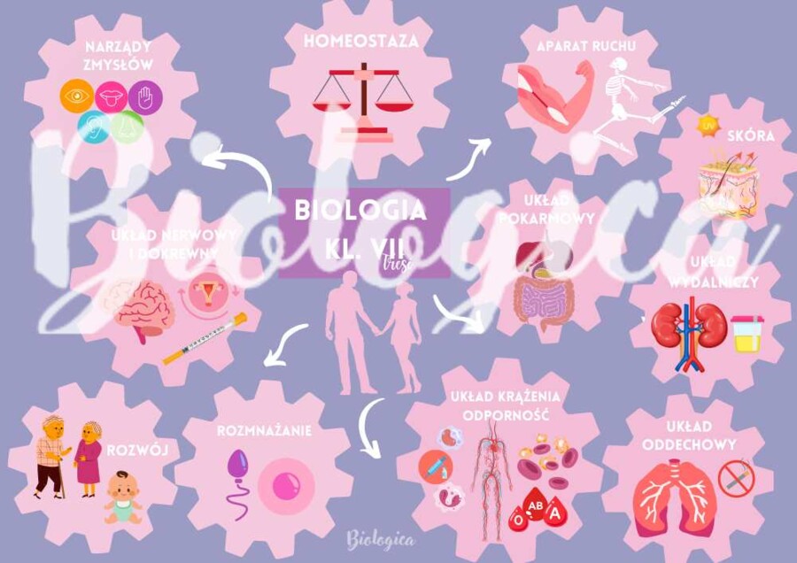 O CZYM BĘDĘ SIĘ UCZYŁ W TYM ROKU NA BIOLOGII? Obrazkowe karty na pierwszą lekcję dla klas 5-8.