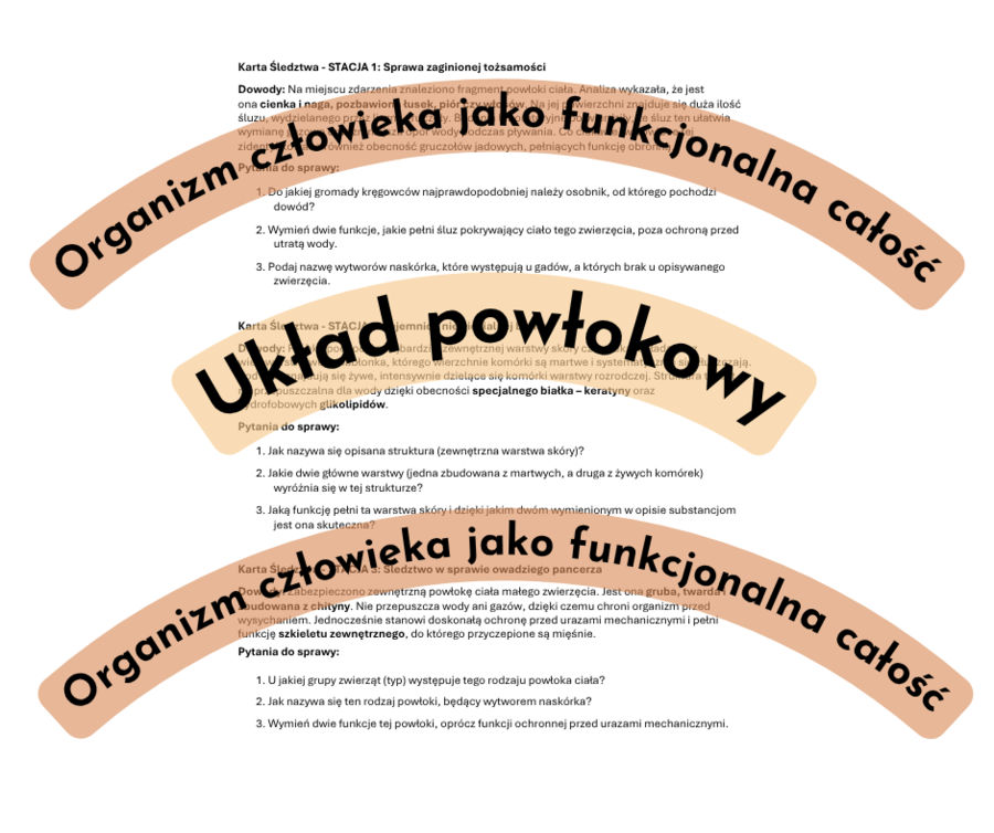 Zagadki detektywistyczne - stacje dydatktyczne Organizm człowieka jako funkcjonalna całość + Układ powłokowy