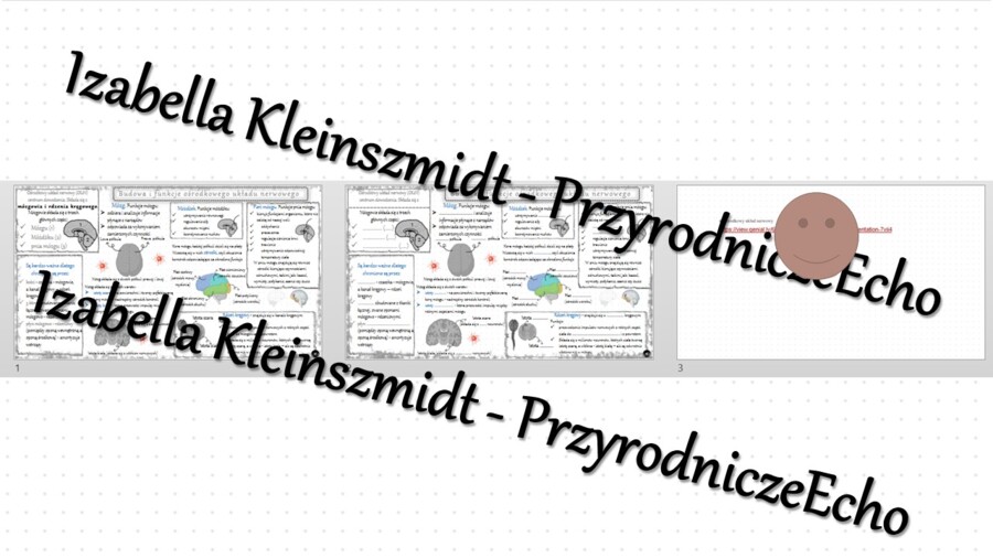 Minizestaw na temat „Ośrodkowy układ nerwowy” – sketchnotka + karta pracy w power point + gratisowy link do prezentacji multimedialnej niekomercyjnej wykonanej w genial.ly do indywidualnego pobrania i użycia do celów niekomercyjnych. Biologia 7, „Regulac