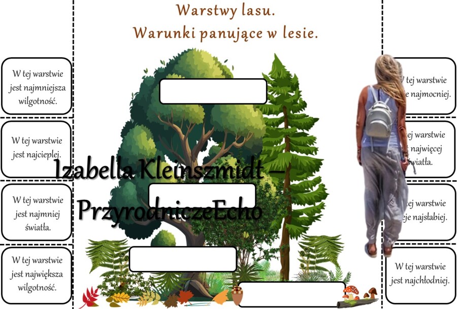 Notatki okienkowe/stacje zadaniowe/notatki/notatki graficzne/karty pracy/sketchnotki/materiał do zalaminowania do działu „Odkrywamy tajemnice życia w wodzie i na lądzie” w pdf. Przyroda 4.