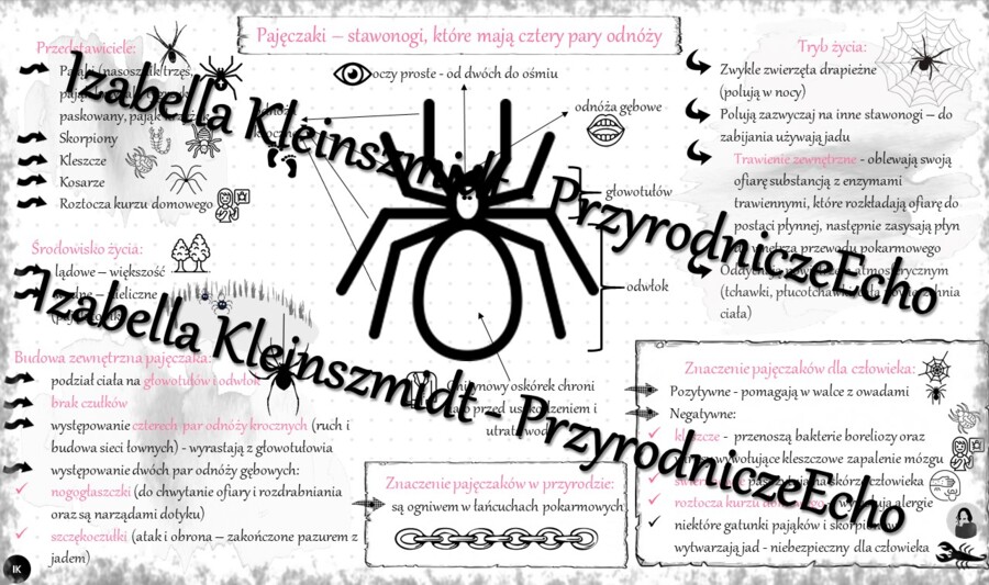 Sketchnotka - notatka „Pajęczaki – stawonogi, które mają cztery pary odnóży” wykonana w power point do edycji. Biologia 6; „Stawonogi i mięczaki”