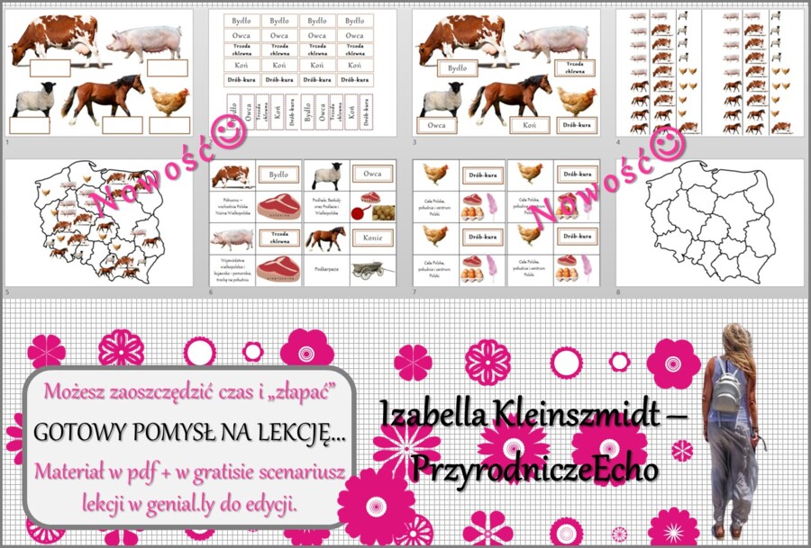 Pomysł na lekcję/karta pracy/stacje zadaniowe/notatki/ materiał do lekcji do tematu „Produkcja zwierzęca” w pdf. W gratisie niekomercyjny scenariusz lekcji/pomysł na lekcję w programie genial.ly do edycji. Geografia 7. Dział „Rolnictwo i przemysł Polski”