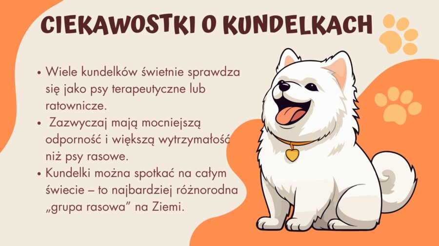 Dzień Kundelka - prezentacja pdf