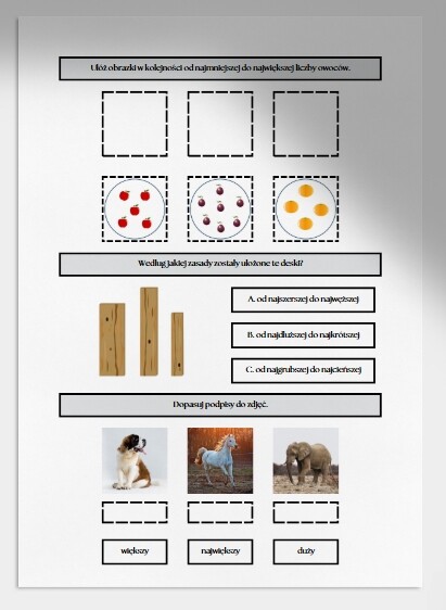 Porządkowanie według określonej zasady. Karta pracy. Sprawdzian.