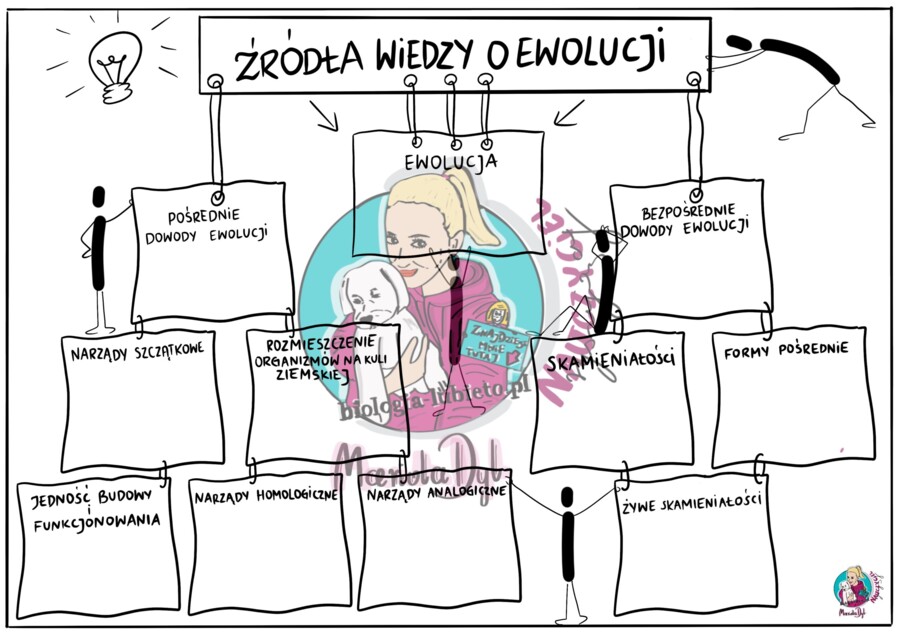 Ewolucja - źródła wiedzy - kl. 8 karta pracy
