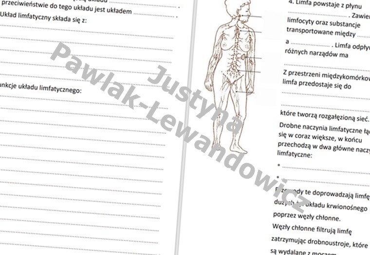 Układ limfatyczny (karta pracy)