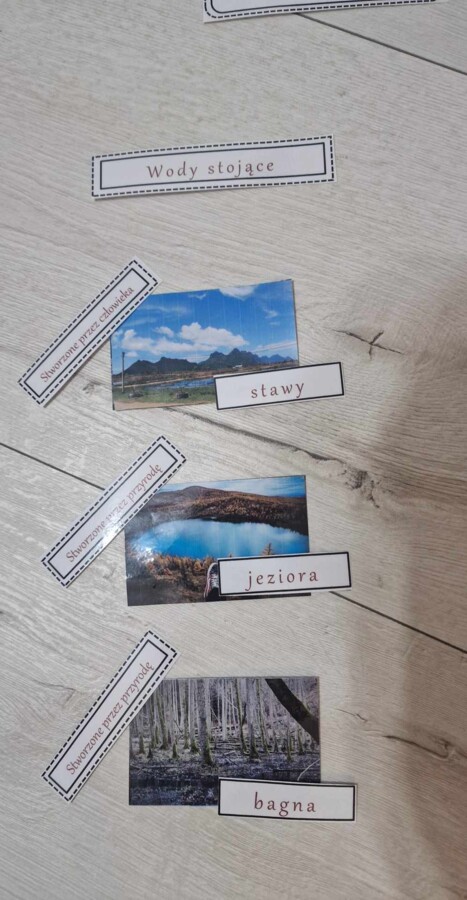 Materiał do zalaminowania/praca w grupach/stacje zadaniowe/układanka/puzzle „Wody słodkie i wody słone” w pdf. Przyroda, dział „Poznajemy krajobraz najbliższej okolicy”.