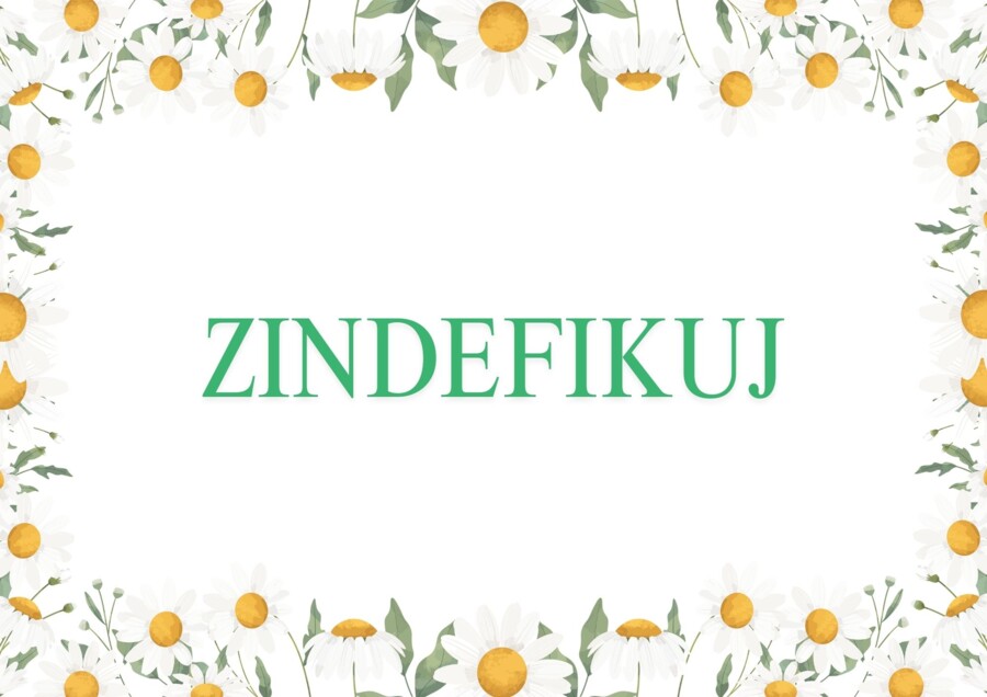 DZIEŃ PTAKÓW - EDUKACYJNA PRZYGODA DLA DZIECI