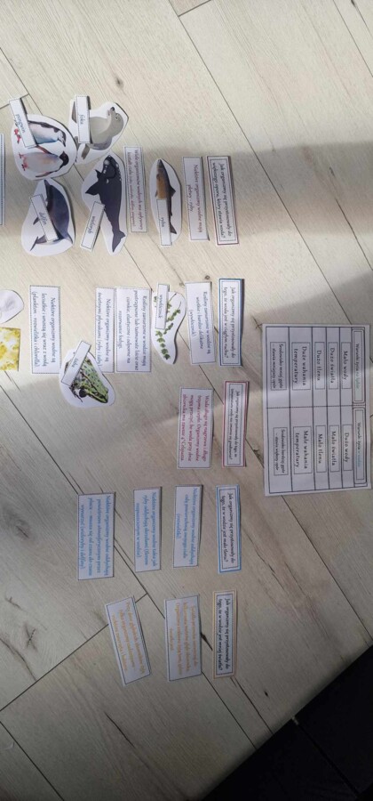 Materiał do zalaminowania/praca w grupach/stacje zadaniowe/układanka/puzzle „Warunki życia w wodzie” w pdf. Przyroda, dział „Odkrywamy tajemnice życia w wodzie i na lądzie”.