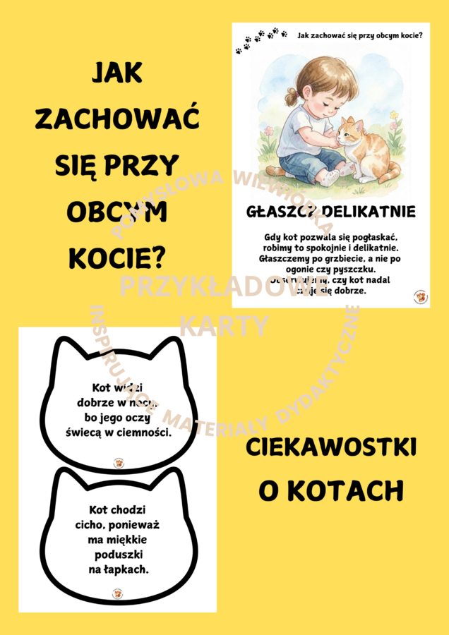 🐱 DZIEŃ KOTA