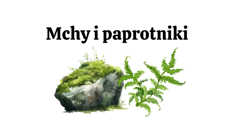 mchy + paprotniki 2 KLASA BIOLOGIA ROZSZERZONA