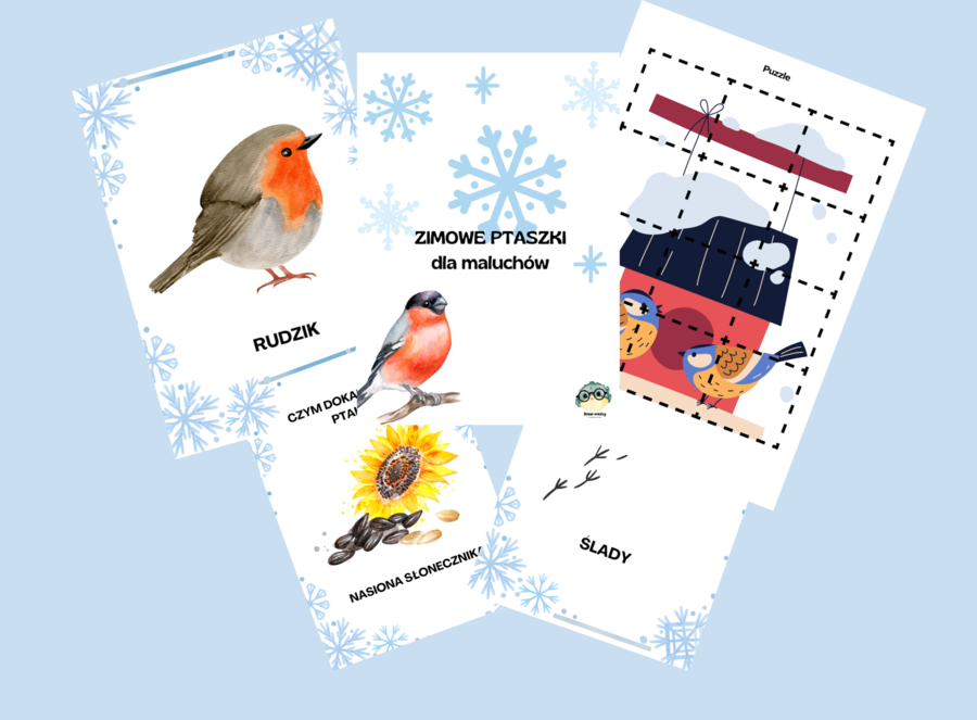 Zimowe ptaki - materiał edukacyjny dla maluchów