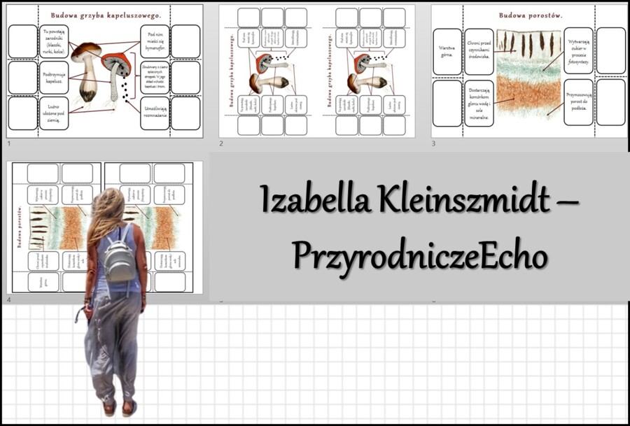 Notatka okienkowa „Budowa i różnorodność grzybów”, „Budowa porostów”, ” Budowa grzyba kapeluszowego” w pdf. Biologia 5 dział „Wirusy, bakterie, protisty i grzyby"”.