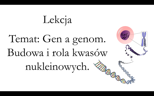 Liceum klasa 3 (podstawa) - Gen a genom - prezentacja