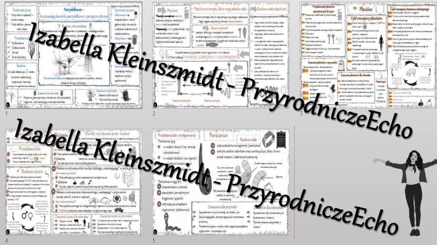 Zestaw sketchnotek – notatek do całego działu „Od parzydełkowców do pierścienic” wykonanych w power point do edycji. Biologia 6