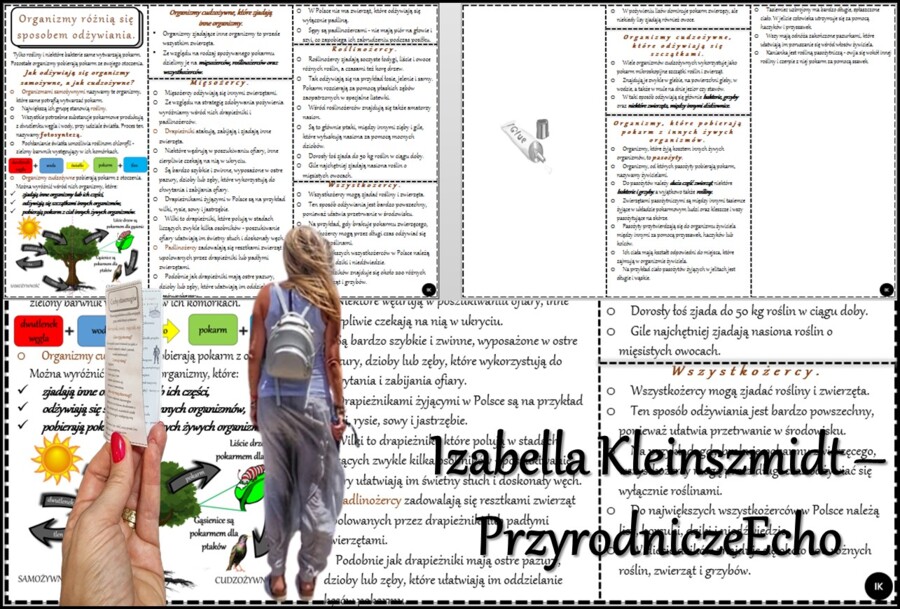 Książeczka/sketchnotka/notatka/wklejka/streszczenie dla ucznia i przypomnienie dla nauczyciela/edukacja domowa/materiał w pigułce. Temat „Organizmy różnią się sposobem odżywiania.” w pdf. Przyroda 4, dział „Poznajemy świat organizmów”. Nowość 2024/2025.