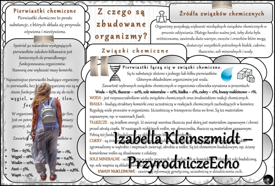 Zestaw sketchnotek/notatek/streszczeń/wklejek/ściąg dla ucznia i nauczyciela w pdf. Biologia 5 dział „Organizacja i chemizacja życia”. Notatki zostały wykonane na podstawie podręcznika z wydawnictwa WSiP.