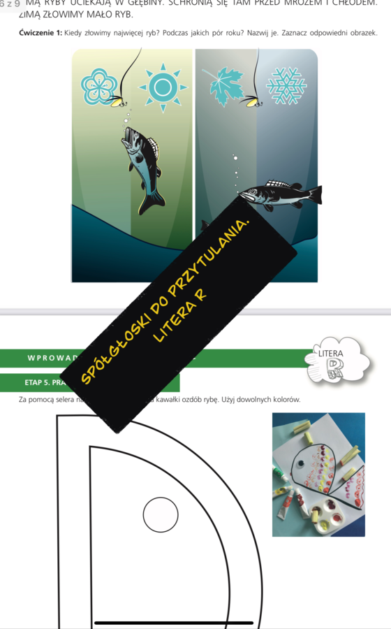 Spółgłoski do przytulania. Monografia litery R