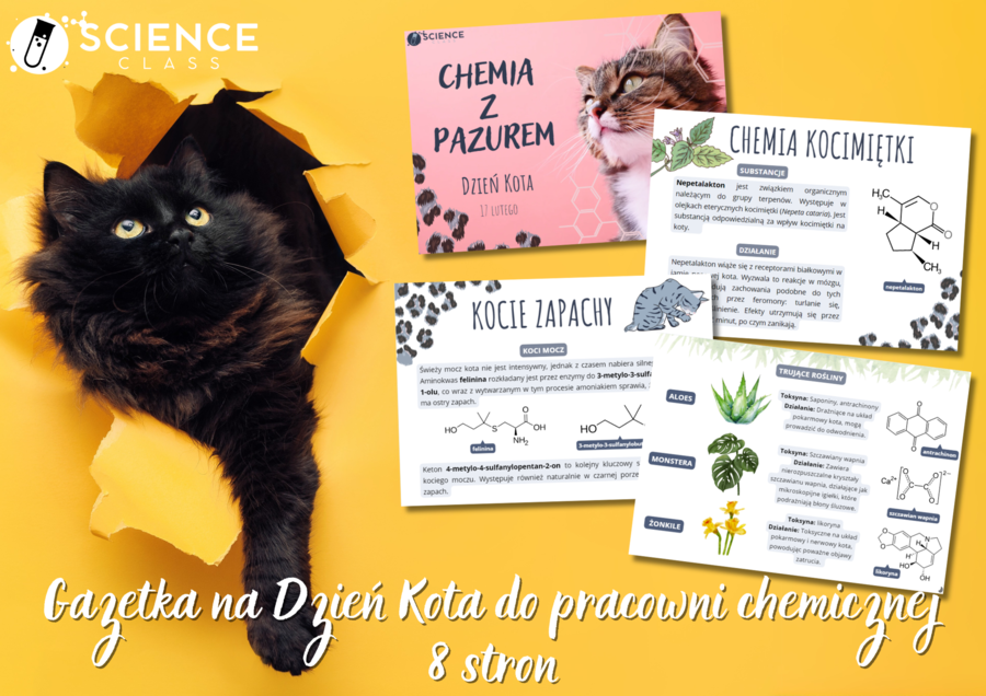 Gazetka na Dzień Kota do pracowni chemicznej