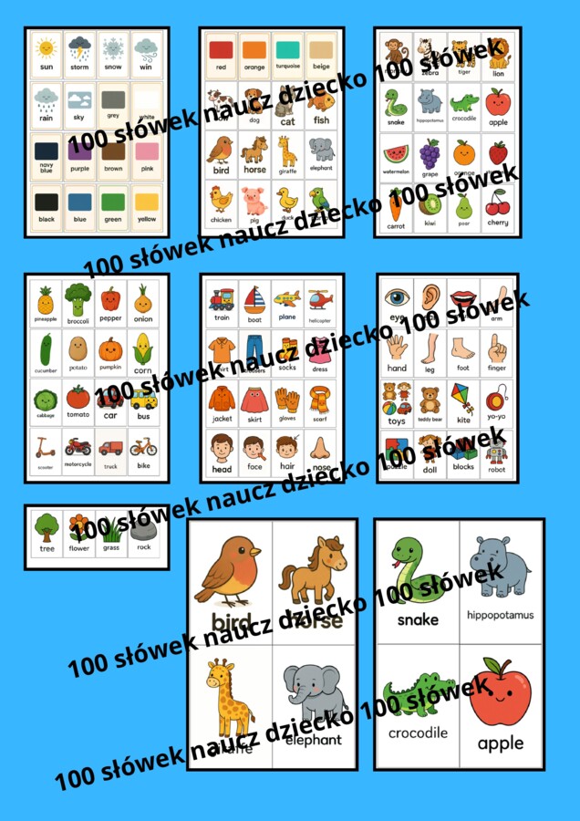 100 podstawowych rzeczowników w języku angielskim 1 słówko na każdy dzień – naucz dziecko języka w formie zabawy!
