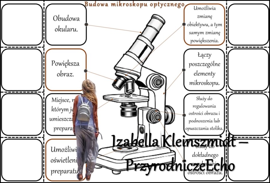 Notatka okienkowa/stacja zadaniowe/notatka/notatka graficzna/karta pracy/sketchnotka „Budowa mikroskopu”, „Obserwacje mikroskopowe” w pdf. Biologia 5 dział „Biologia – nauka o życiu”. Materiał wykonany na podstawie podręcznika z wydawnictwa Nowa Era – no