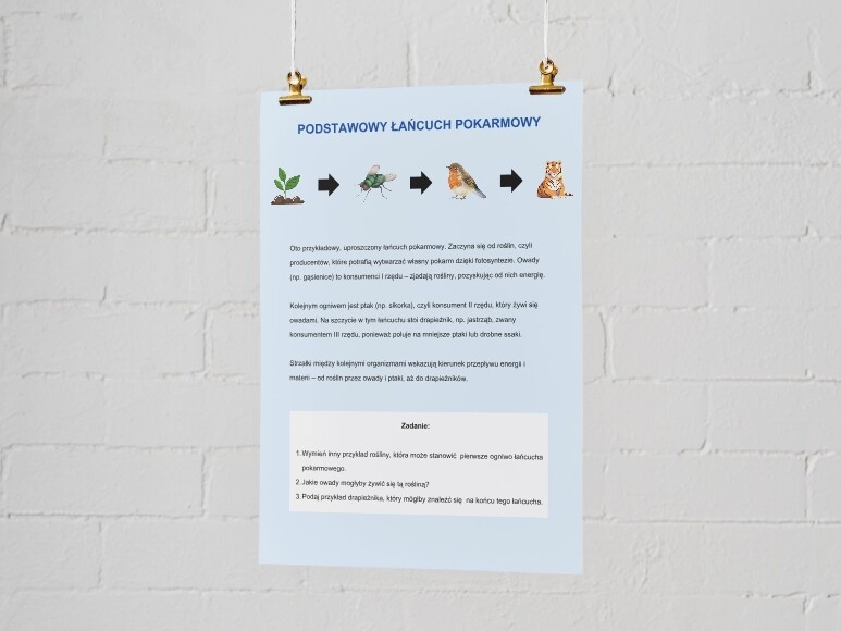 Łańcuchy i sieci pokarmowe. Znaczenie równowagi w ekosystemie. Łańcuch pokarmowy