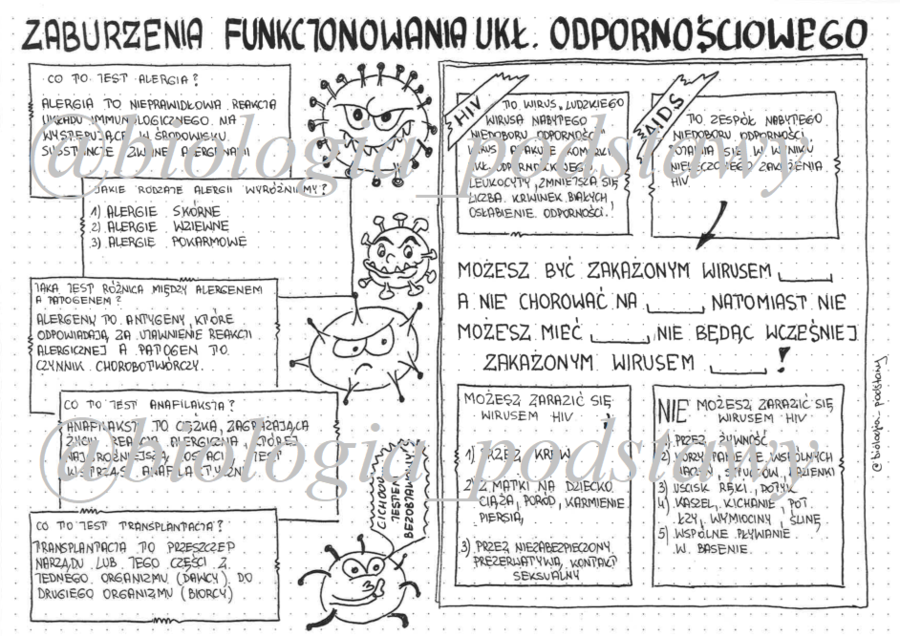 Klasa 7 - Zaburzenie funkcjonowania układu odpornościowego - sketchnotka