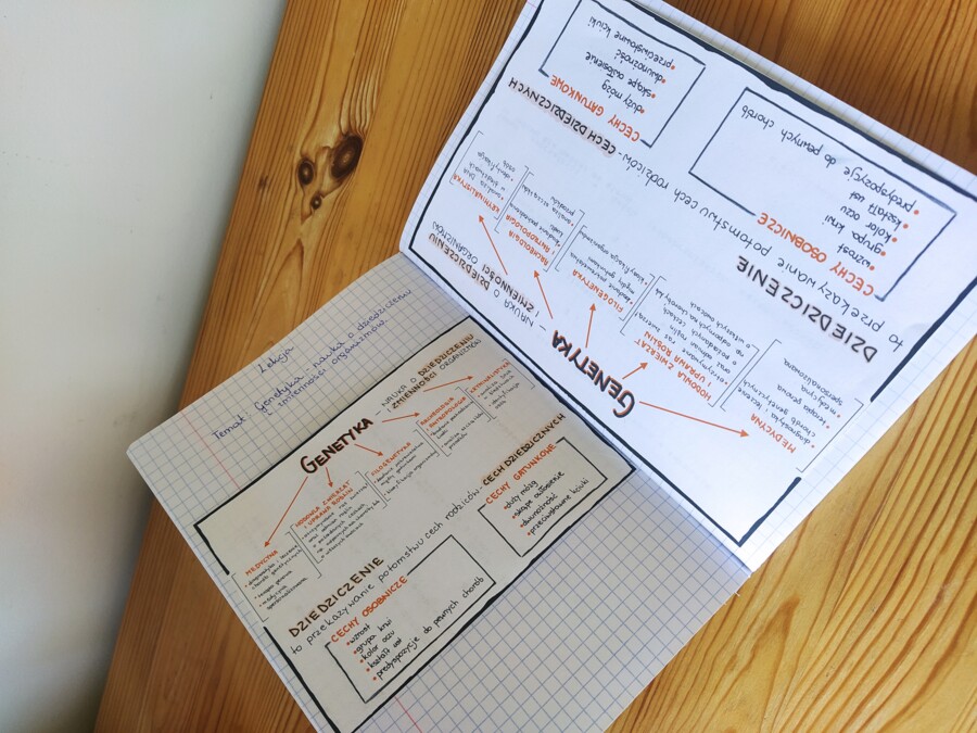 Genetyka - wprowadzenie – sketchnotka – wklejka | Biologia | klasa 8