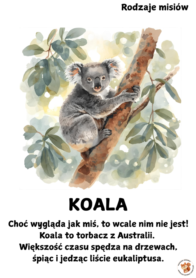 DZIEŃ PLUSZOWEGO MISIA