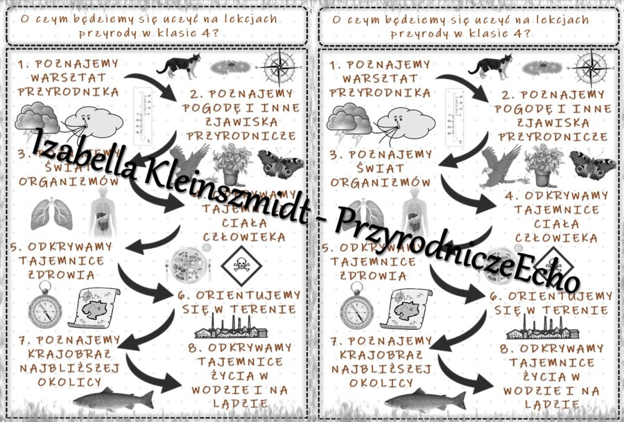 O czym będziemy się uczyć na lekcjach przyrody w klasie 4? - wklejka do zeszytu. Materiał w power point do edycji