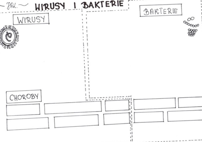 Wirusy i bakterie (karta pracy)