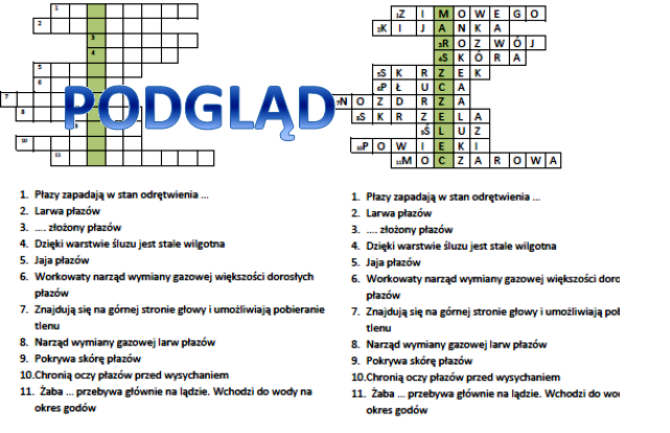 Wprowadzenie do tematu Przegląd i znaczenie płazów - logogryf
