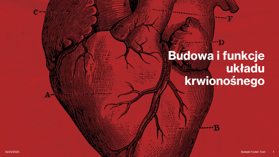 Budowa i funkcje układu krwionośnego KLASA 3 ROZSZERZENIE BIOLOGIA