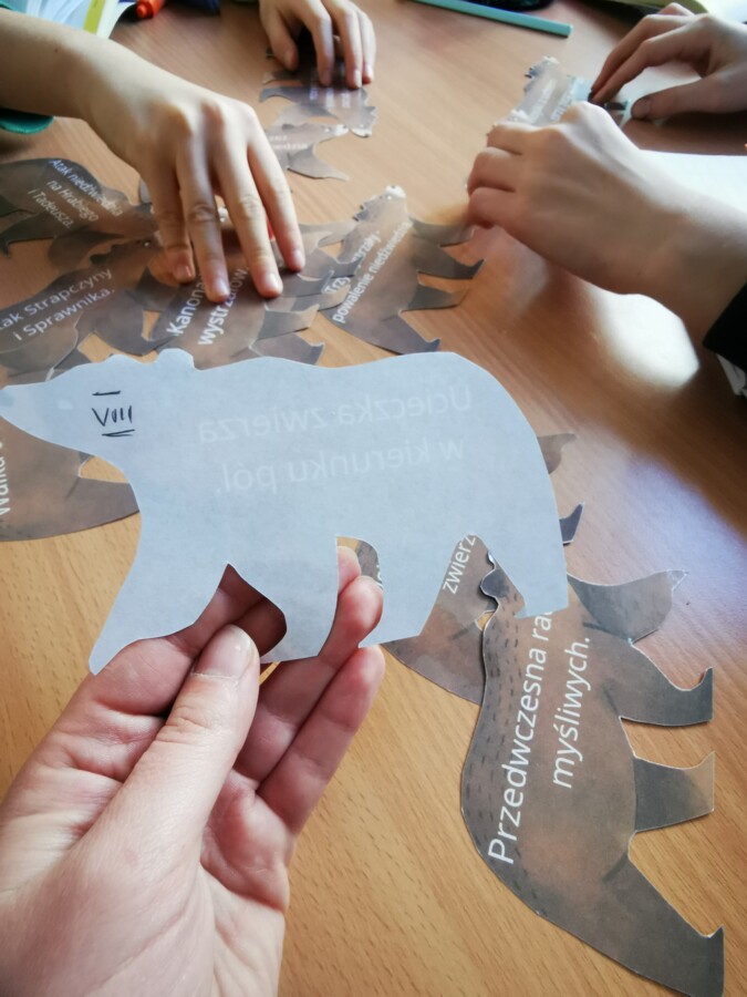 Pan Tadeusz - Polowanie - niedźwiedź - plan wydarzeń - zadania