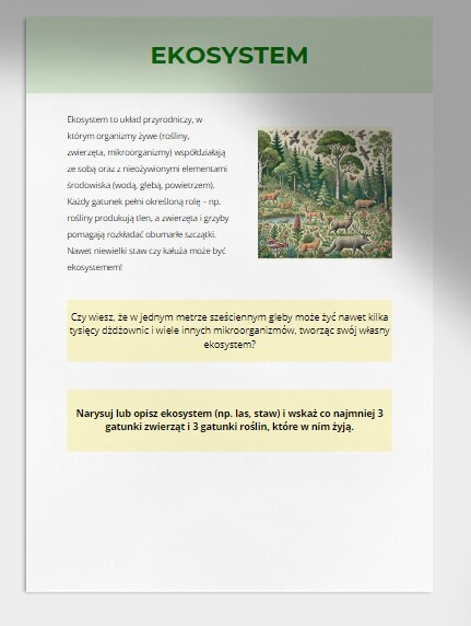 Mini słownik pojęć ekologicznych (ekosystem, bioróżnorodność, recykling i wiele innych)
