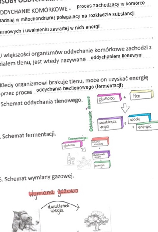 Sposoby oddychania organizmów (KP 2 uzupełniona)