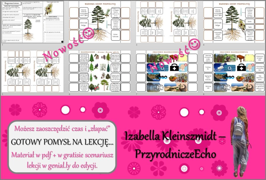 Pomysł na lekcję/karta pracy/stacje zadaniowe/materiał do lekcji do tematu „Nagonasienne” w pdf. W gratisie niekomercyjny scenariusz lekcji/pomysł na lekcję w programie genial.ly do edycji. Biologia 5. Dział „Różnorodność roślin”.