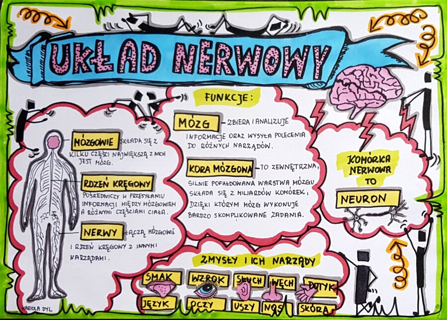 Klasa 4. Przyroda. Karta pracy. Układ nerwowy