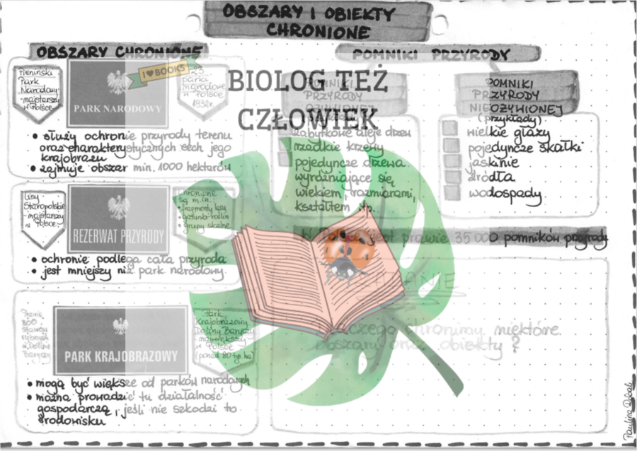 Obszary i obiekty chronione (parki, rezerwaty, pomniki przyrody) - szarość