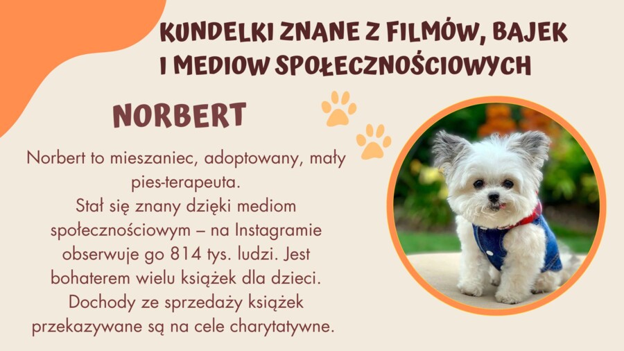 Dzień Kundelka - prezentacja pdf