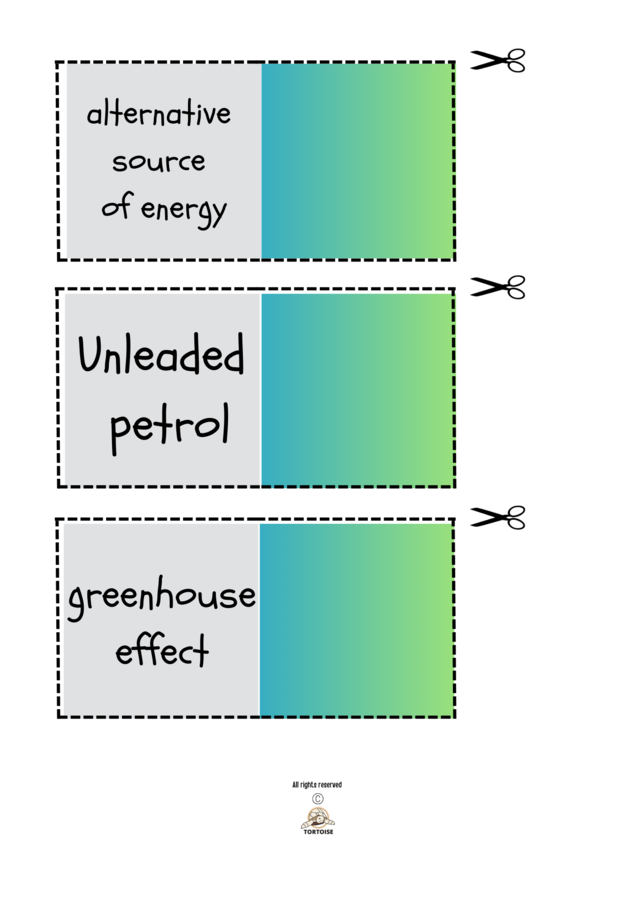 Gra dydaktyczna „Memory – ekologia”
