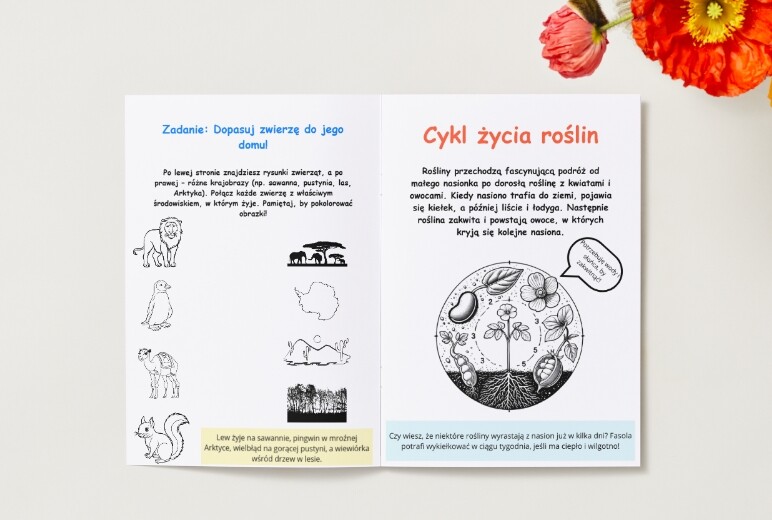 Zwierzęta. Cykl życia rośliny. Segregacja śmieci. Dbanie o przyrodę. KARTA PRACY