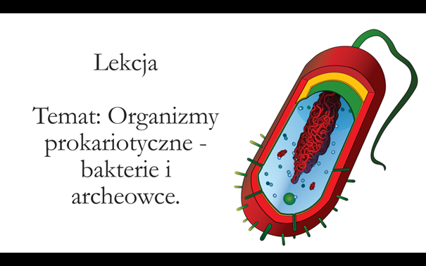 Klasa 2 ( rozszerzenie) - Organizmy prokariotyczne - bakterie i archeowce - prezentacja