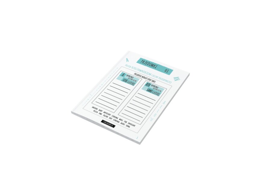 PRZEDIMKI 01 - handout